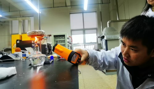 我國(guó)自主研發(fā)新型材料泡沫陶瓷 保溫還能防火