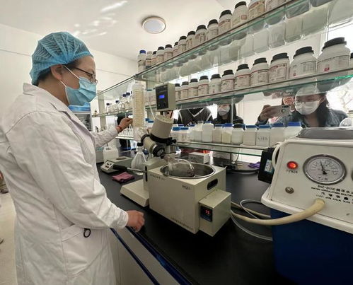 寧夏化妝品風(fēng)靡俄羅斯市場(chǎng)，新型汽輪機(jī)研發(fā)與銷售齊頭并進(jìn)